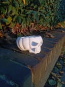 Pumpkin Scull Bowl - Image 1